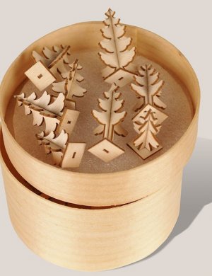 thumbnail firs set in wooden box