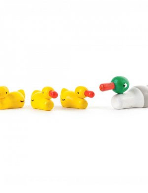 Duck family / 4 pieces