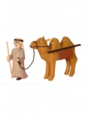Cameleer and camel, stained