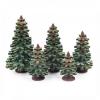 Conifer green 4-8 cm 5-part assorted