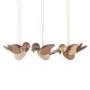 Hanging birds nature (6 pieces)