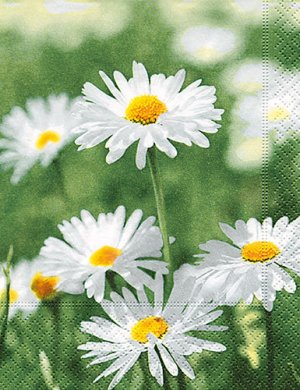 Napkins Full of daisies