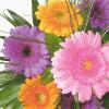 Napkins Floral greetings