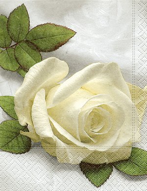 Napkins So beautiful