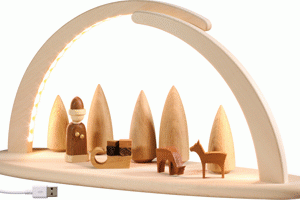 LED Light Arch Seiffner Wintermotiv