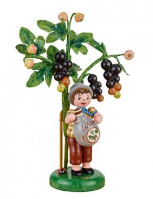 Hubrig Annual Figure 2017 Blackcurrant