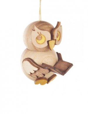 Tree hanging Owl child with book