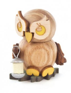 Owl child with lantern