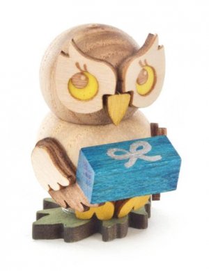 Owl child with present