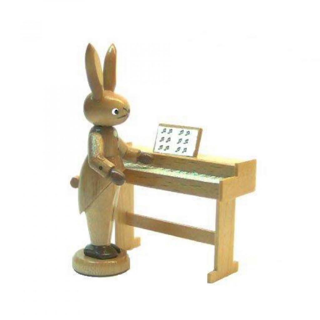 Rabbit with Keyboard nature