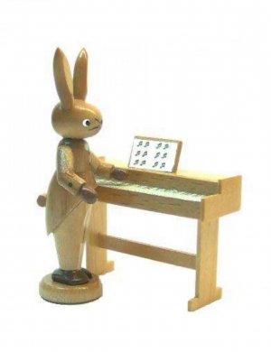 Rabbit with Keyboard nature