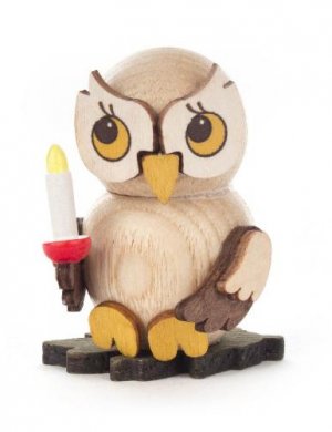 Owl child with candle