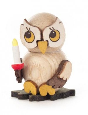 Owl child with candle