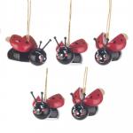 Hangings Ladybug with funny faces