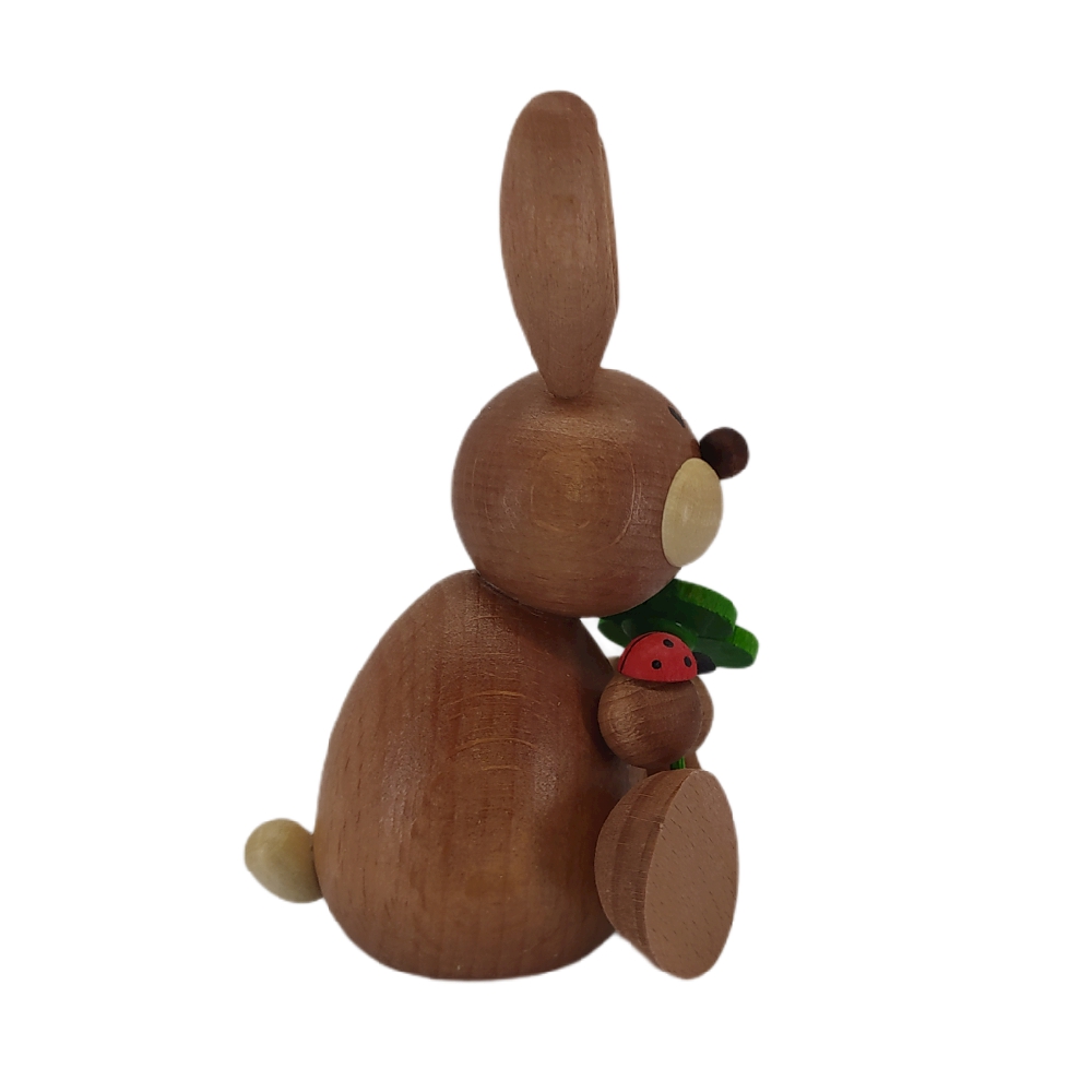 Easter bunny sitting with shamrock and ladybug