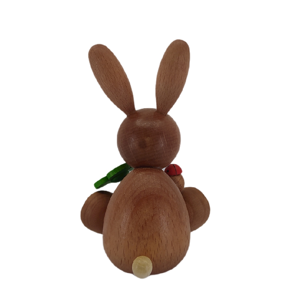 Easter bunny sitting with shamrock and ladybug