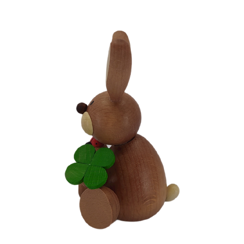 Easter bunny sitting with shamrock and ladybug