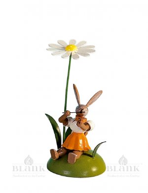 Blank easter bunny sitting with daisy and violin