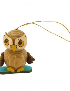 Hang owl child with snowboard