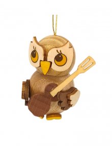 Hang owl child with guitar