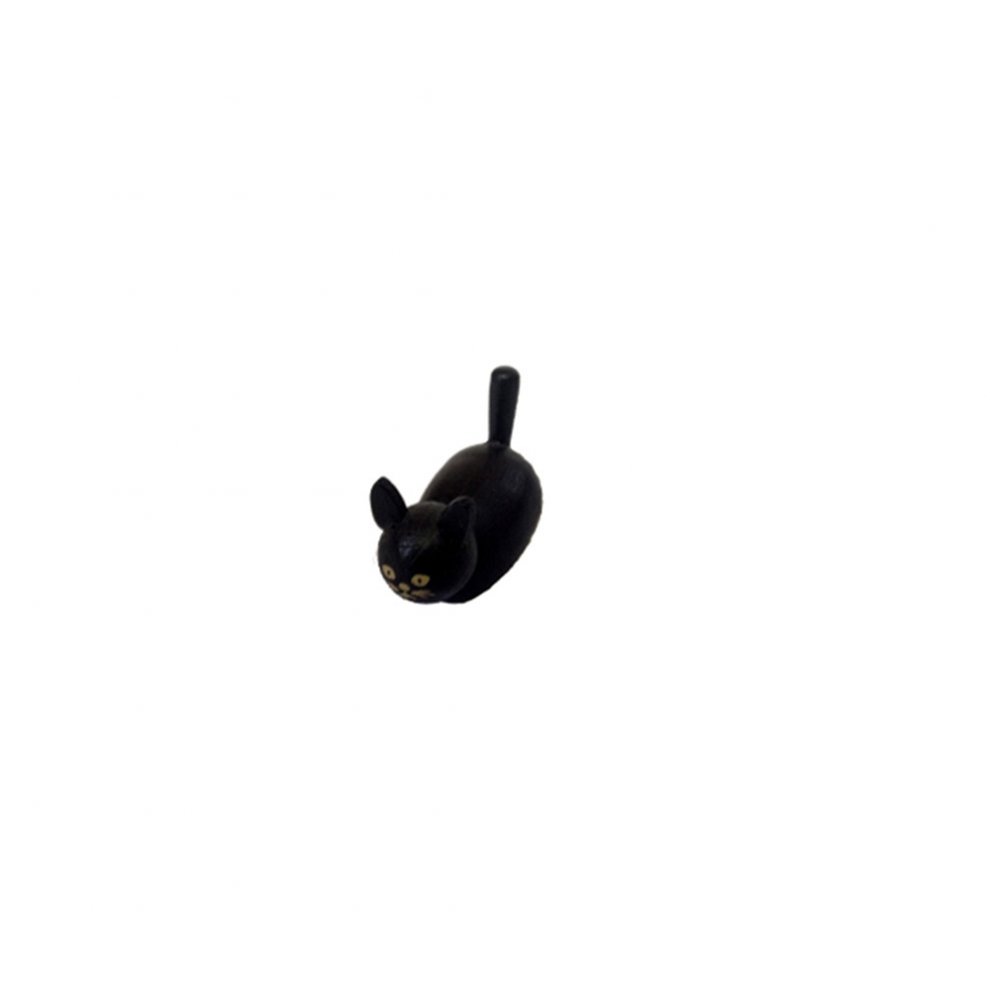 Cat, black
