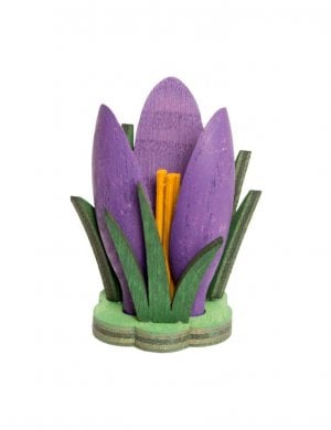 Accessories for owls and Stupsis crocus, purple
