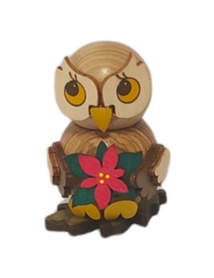 Owl child with poinsettia