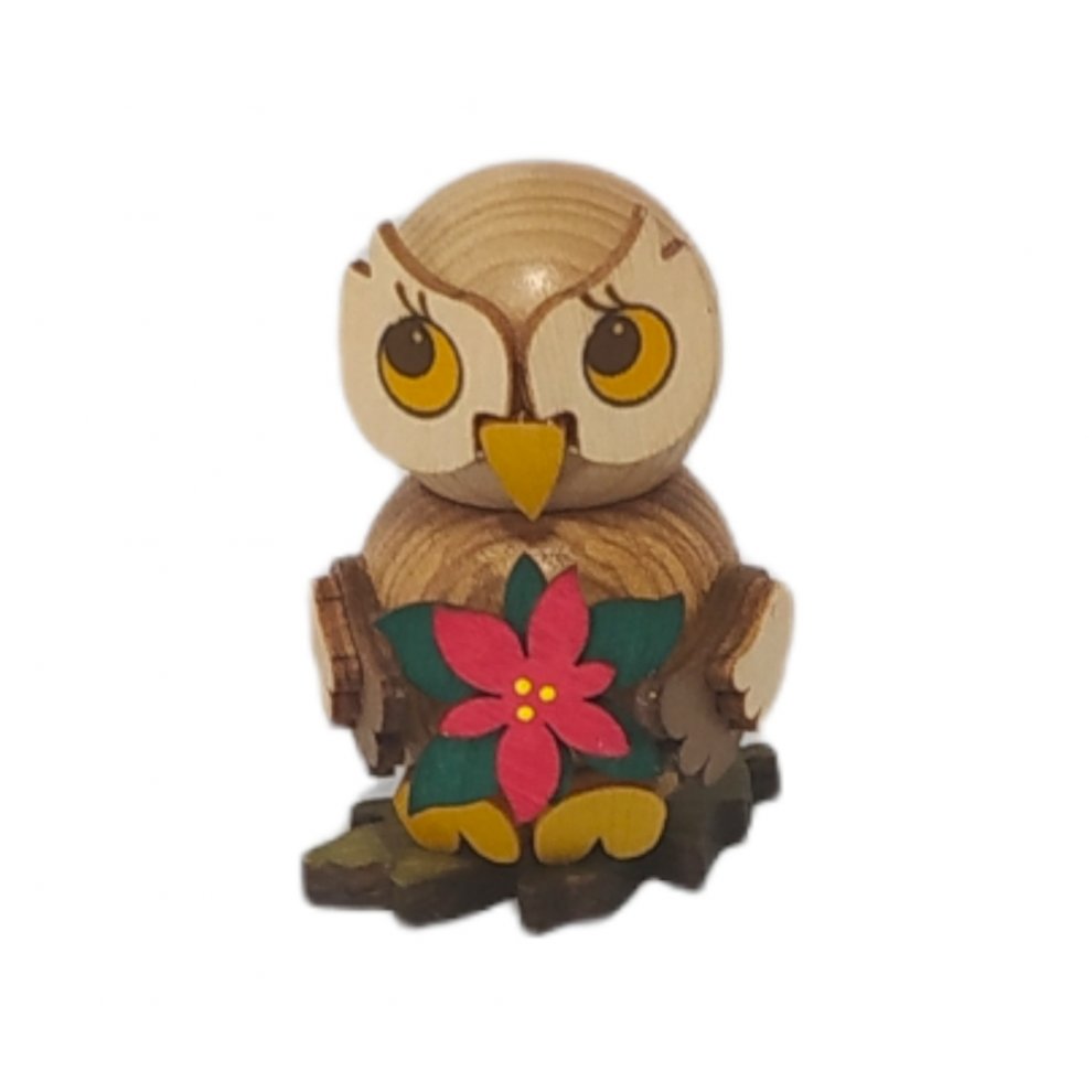 Owl child with poinsettia