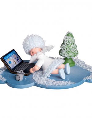 Snowflake with laptop