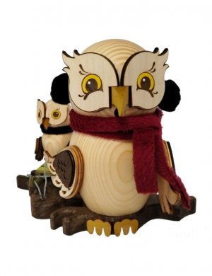 Smoker owl sleigh ride with child