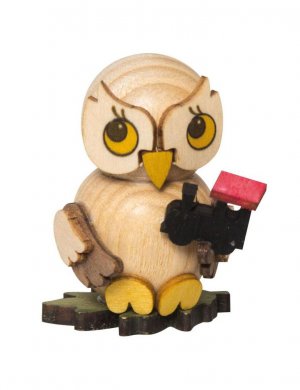 Owl child with locomotive