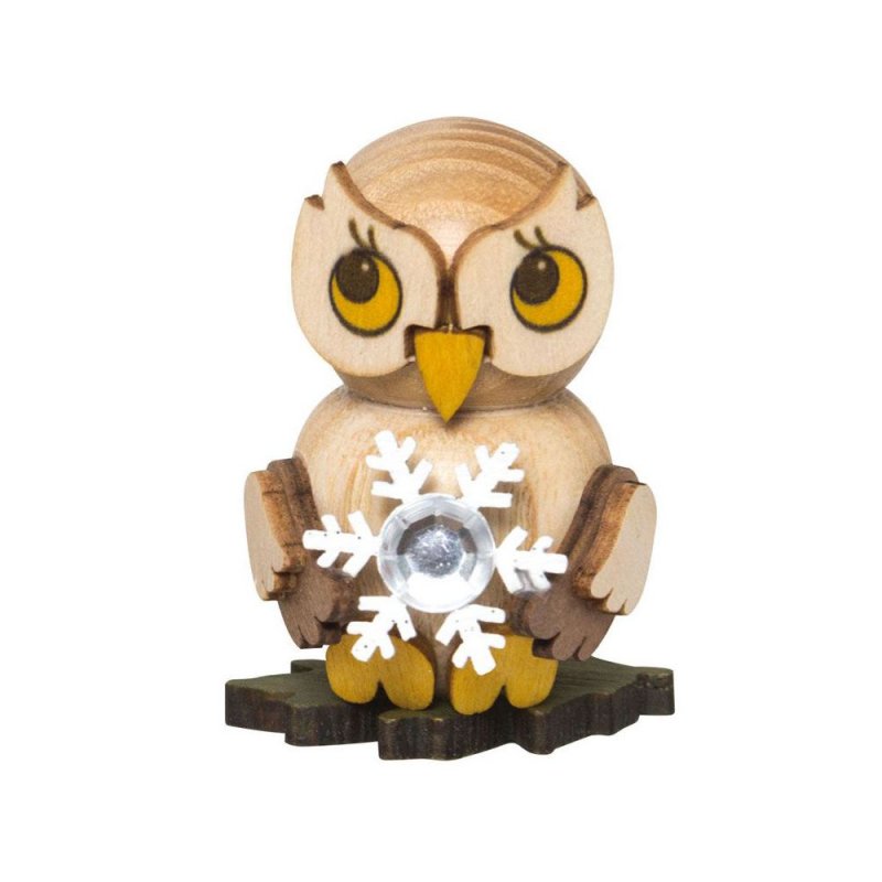 Owl child with snow crystal