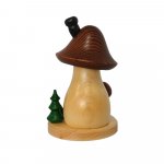 Smoker mushroom house brown cap curved and flat