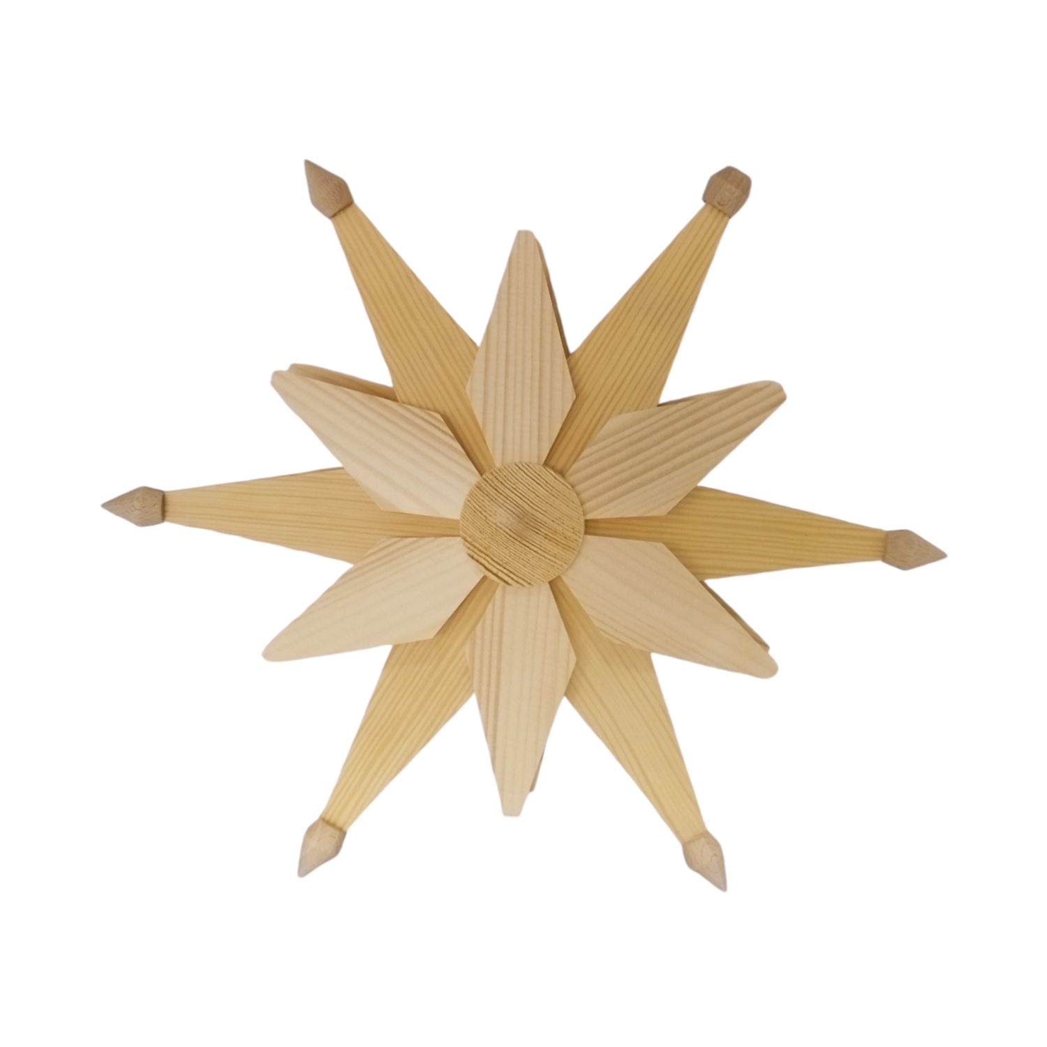 Poinsettia electric, natural