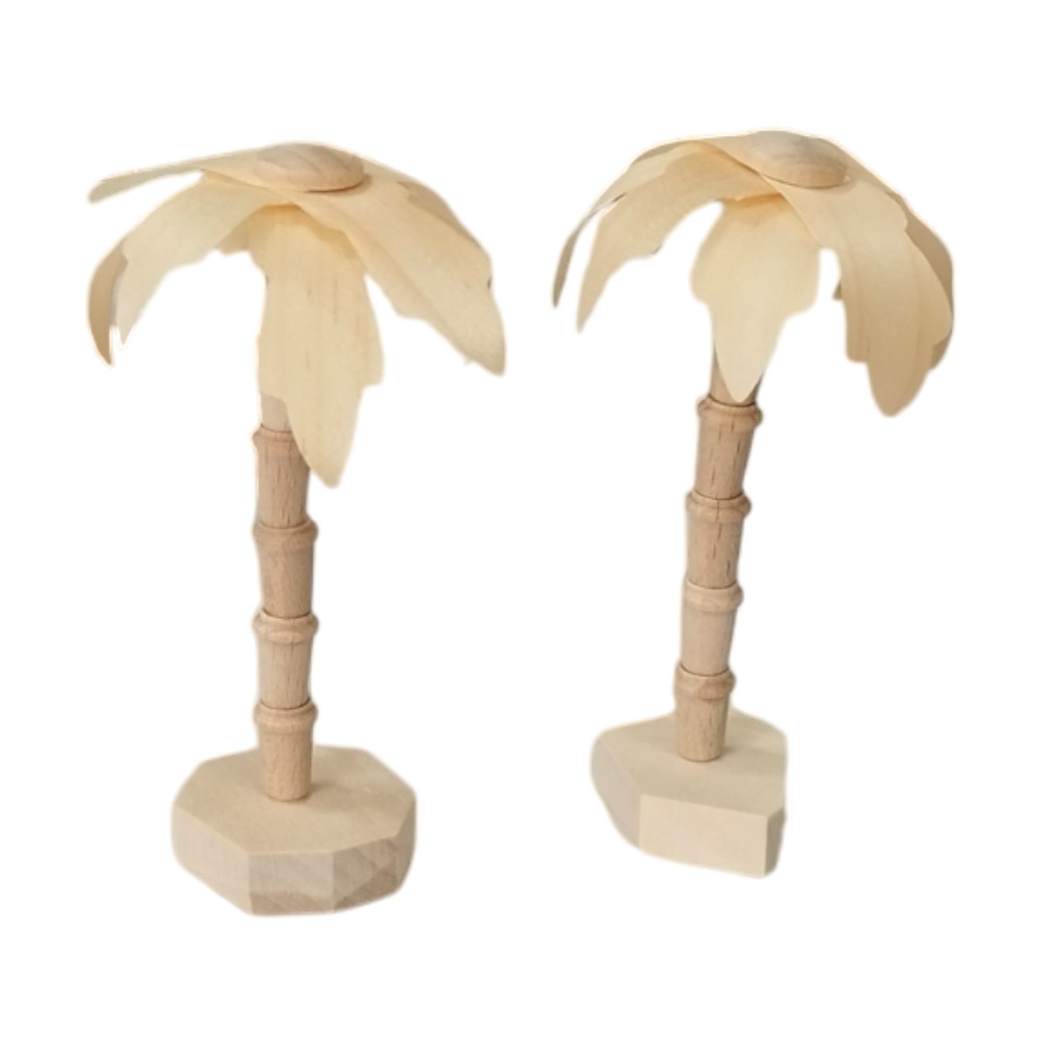 Palm Set Nature