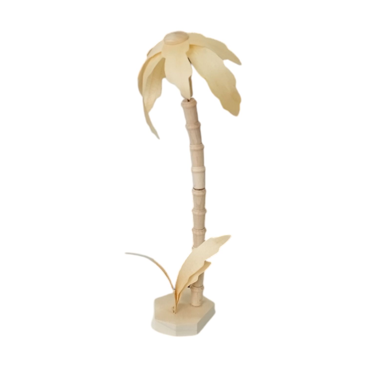 Palm Natural, 17cm